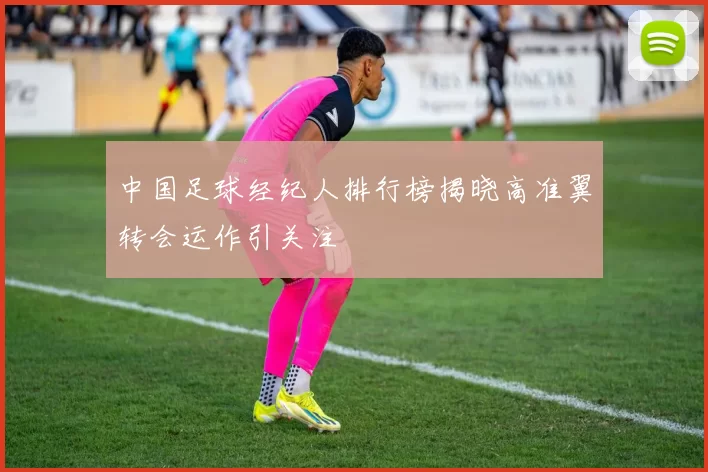 中国足球经纪人排行榜揭晓高准翼转会运作引关注